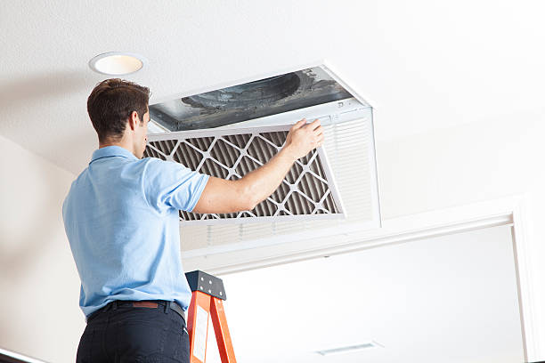 Best HVAC Air Duct Cleaning  in Homeland, GA